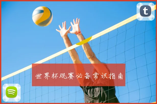 世界杯观赛必备常识指南