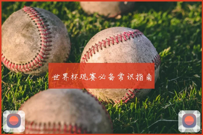 世界杯观赛必备常识指南
