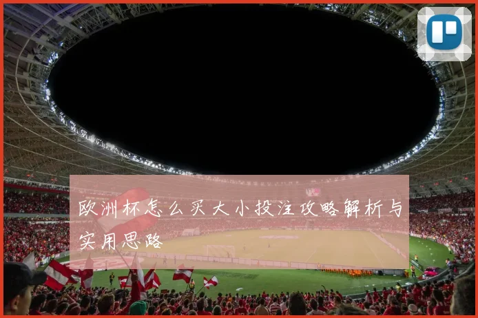 欧洲杯怎么买大小投注攻略解析与实用思路